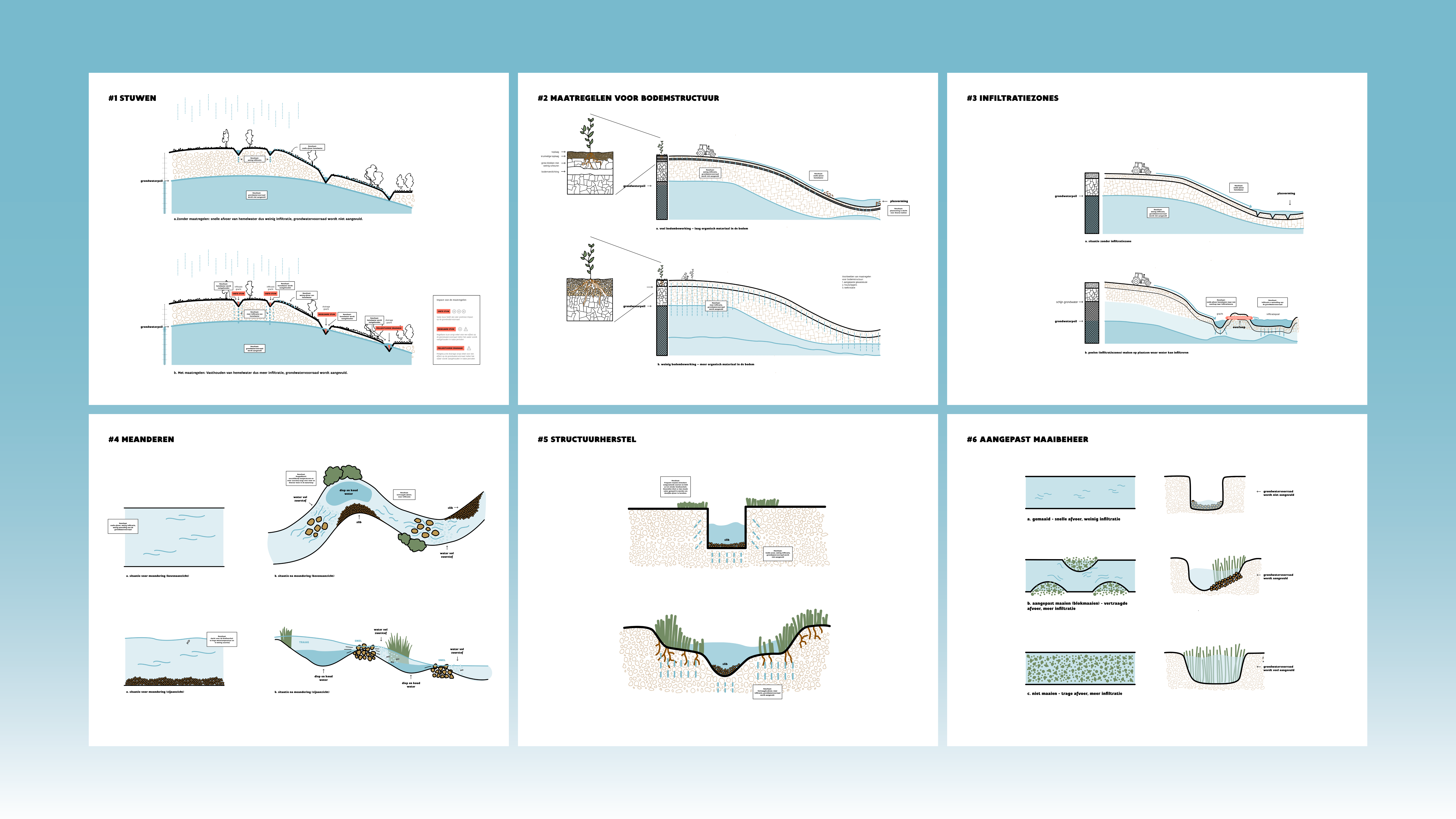 bluedeal-praktijkgids-illustraties.png