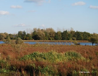 Natte Natuur Molensite en site Audenhovenlaan in Boortmeerbeek