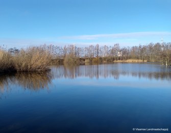 Inrichten moerasgebied aan parkbegraafplaats Brugge