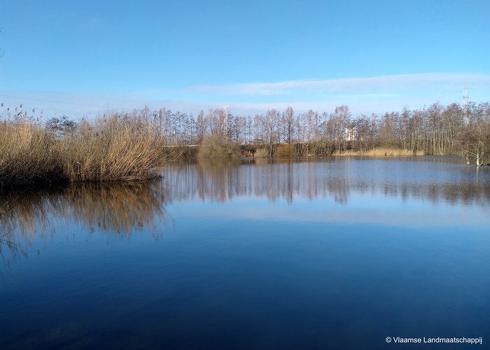 Inrichten moerasgebied aan parkbegraafplaats Brugge