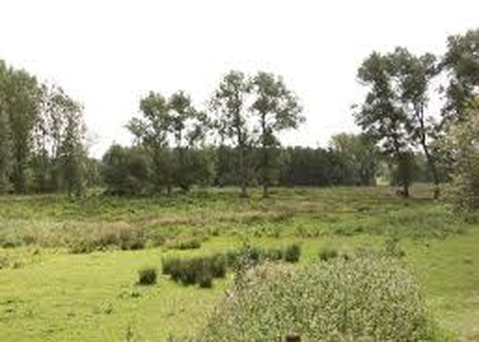 Klimaatrobuuste vallei van de Molenbeek-Gondebeek en Driesbeek